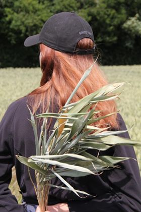 EVERYTHING is creative. Even&nbsp;Eating!